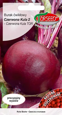 Produktbild von Rote Bete Samen Rote Kugel 2 OOC 100 Stück - Torseed