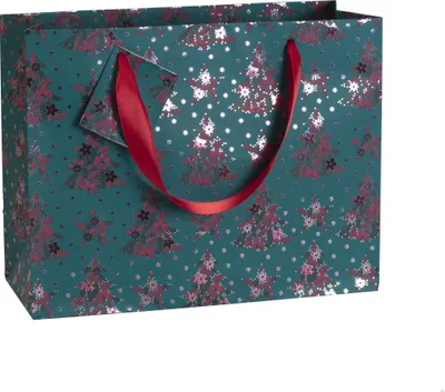 Produktbild von Clairefontaine 5x Premium Velvet 2, Geschenktasche 32x13x24,5 - Grün 212904C