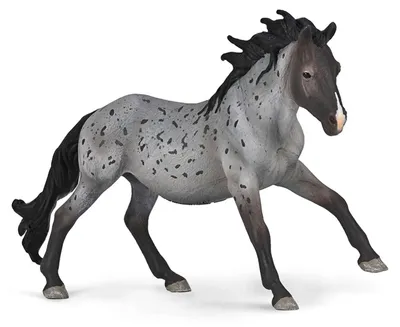 Image de Collecta 80060 Nokota, étalon bleu rouan, 16 cm, Le Monde des Chevaux