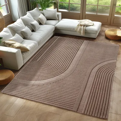 A modern living room with a sectional sofa and a patterned rug.