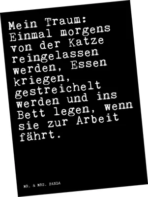 Produktbild von Mr. & Mrs. Panda Ansichtskarte Mein Traum: Einmal morgens... - Schwarz - Geschenk, Traum, Kunstkarten, Frauchen, Grußkarte, Katzen, Herrchen, Ansichtskarten, Postkarten