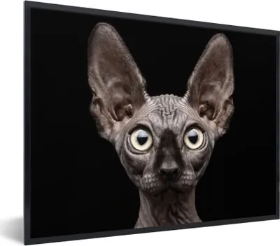 Produktbild von MuchoWow® Gerahmtes Poster Katze - Haustiere - Porträt - Schwarz 40x30 cm - Poster mit Schwarzem Bilderrahmen Wandposter Rahmen Foto Bilder - Kunstposter - Wanddekorationen
