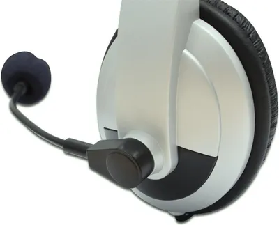 Image de DIGITUS DA-12201 Casque multimédia stéréo DIGITUS avec microphone 1,8m
