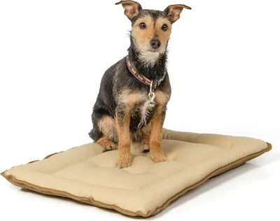 Produktbild von gepolsterte Wendedecke 60 x 45 cm, beige/braun bei 95°C waschbar für Hunde
