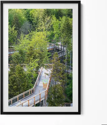 Produktbild von Ein Weg in Krynica Zdrój– Wandbild mit Rahmen – Gerahmtes Bild  – Wanddekoration – 70x100 cm –  Schwarz Rahmen