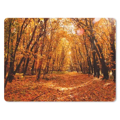 Produktbild von MuchoWow® Mauspad Mousepad Herbst - Wald - Laub - Jahreszeiten 40x30 cm - Mousepads - Maus Mat - Pad - Mausunterlage - Anti Rutsch