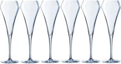 Obrázek produktu pro Sklenice na šampaňské Chef & Sommelier Open Up 200 ml - 6 kusů