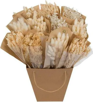 Produktbild von Getrocknete Blumen – Mono Mix – Weiß – ↕50cm – Handgebundener Strauß – Langlebig & pflegeleicht – Elegante Dekoration & Geschenkidee