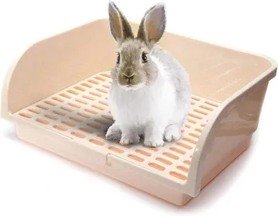 Produktbild von Famanu Katzenklo für kleine Tiere - ideal für Kaninchen, Meerschweinchen und Chinchillas