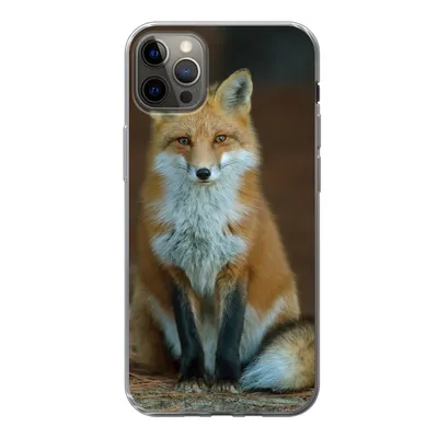 Produktbild von MuchoWow® Handyhülle Schutzhülle Hülle für iPhone 12 Pro Max Fuchs - Makro - Rot Silikon Softcase Handy Hülle - Hartschale