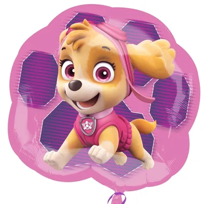 Produktbild von Paw Patrol Skye & Everest Folienballon, 63 cm
