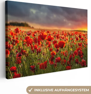 Produktbild von MuchoWow® - Leinwandbilder - Sonnenuntergang - Mohnblumen - Rot - Blumen - Feld - Natur, Wandbild, Wanddeko Bilder Wohnzimmer, 120x80 cm