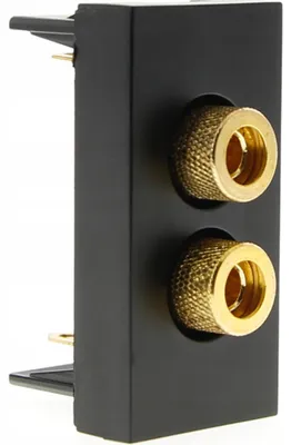 Produktbild von Livolo Modul für Lautsprecherdose Schwarz WSOUND-1-62