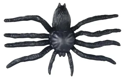 Produktbild von Kunststoffspinnen, 6 cm, schwarz, 6 Stück - MFP
