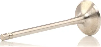 Immagine prodotto di Valvola di ingresso TRW 331125