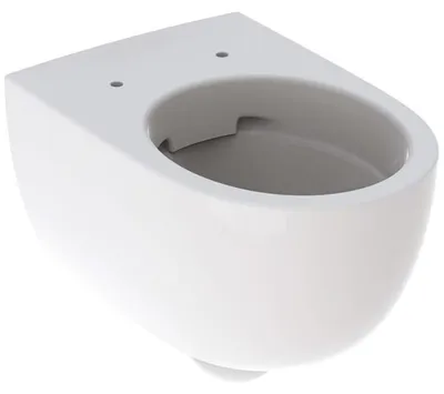 Produktbild von Geberit Renova Comfort Wand-WC Tiefspüler, erhöht, geschlossene Form, Rimfree