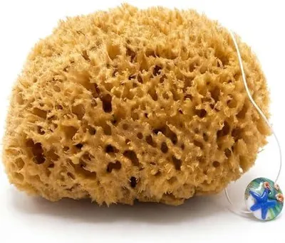 Produktbild von ® Naturschwamm Honeycomb – echter, ungebleichter Badeschwamm (15-16 cm) | Mit Kordel und Glasanhänger zum Aufhängen und Trocknen – auch als Kosmetik-, Mal- und Töpferschwamm geschätzt