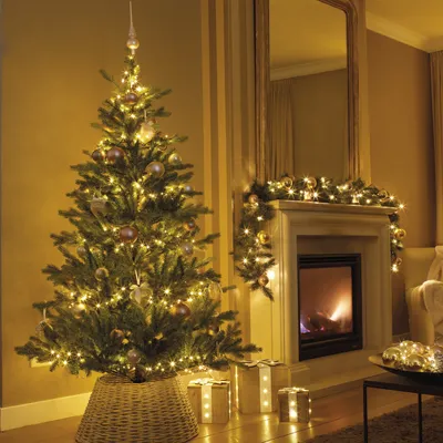Produktbild von LED Baummantel Lichterkette 1-2 GLOW - 6 Stränge - 540 bernstein LED - 1,8m - Timer - Außen - grün