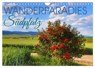 Produktbild von Wanderparadies Südpfalz (Wandkalender 2027 DIN A4 quer), CALVENDO Monatskalender