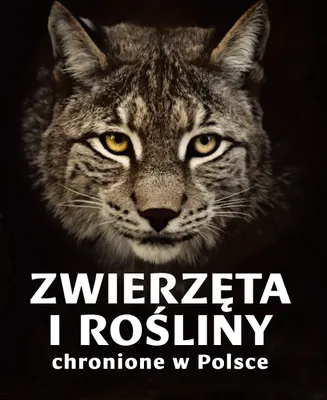 Immagine prodotto di Zwierzęta i rośliny chronione w Polsce - przewodnik ilustrowany