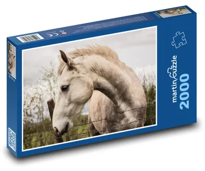 Obrázok produktu pre martinpuzzle - Puzzle 2000 - Divoký kôn