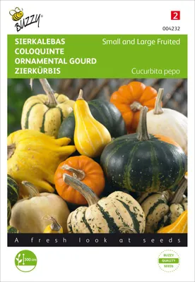 Produktbild von Zierkürbis Klein- und Grossfruchtig | Zierkürbissamen von Buzzy Seeds