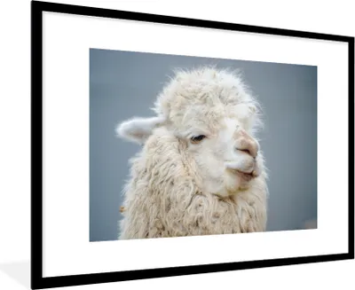 Produktbild von MuchoWow® MuchoWow® Gerahmtes Poster Alpaka - Wolle - Weiß 90x60 cm - Poster mit zchwarzem Bilderrahmen - Wanddekoration - Fotos