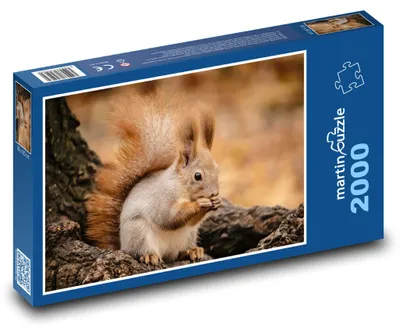 Obrázok produktu pre martinpuzzle – Puzzle 2000 – Vevericka