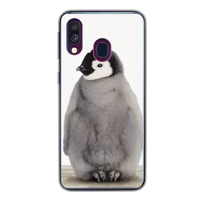 Produktbild von MuchoWow® Handyhülle Schutzhülle Hülle für Samsung Galaxy A40 Kinder - Pinguin - Grau - Tiere - Mädchen - Jungen Silikon Softcase Handy Hülle - Handy-Tasche