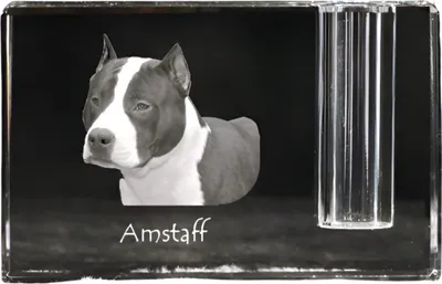 Produktbild von American Staffordshire Terrier, Amstaff - Stifthalter, Kristallorganizer mit Hundefoto, einzigartige Schreibtischdekoration der Marke Art-Dog