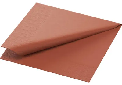 Image de Serviettes Duni Earth Terra 24x24cm 250 pcs. 1 paquet