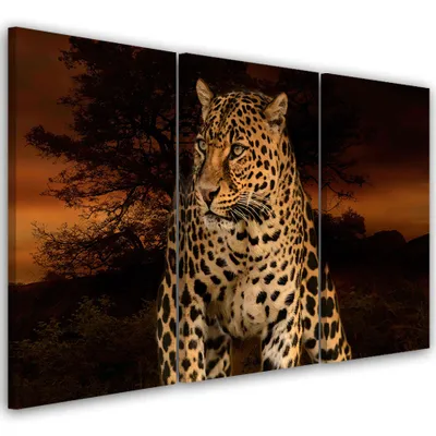 Produktbild von Triptychon auf leinwand tiere - orange 60x40 cm Feeby orange wandbild bereit zum aufhängen