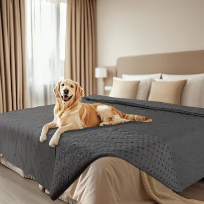 Produktbild von Hundedecke wasserdicht rutschfest waschbar Grau 208 x 304 cm