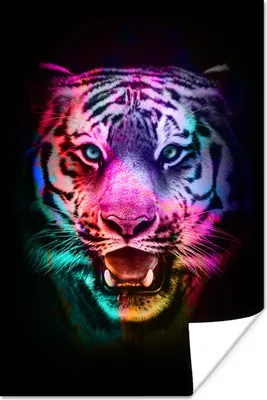 Produktbild von MuchoWow® Poster Farben - Tiger - Wild 60x90 cm - Wanddekoration