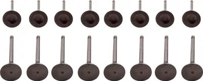 Zdjęcie produktu dla 8 zaworów wlotowych + 8 zaworów wylotowych do Audi VW Seat Skoda 1,8 TSI TFSI 06D109601L