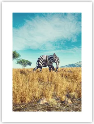 Produktbild von Poster - Poster ohne Rahmen - Surreal Elefant Rippen - 30x40 cm - Wand Bild - Wanddeko - Wandbilder - Kunstposter - Wandposter - Bilder - Kunstdruck - Wanddekoration - Wandbild - P2XPA30x40-4717