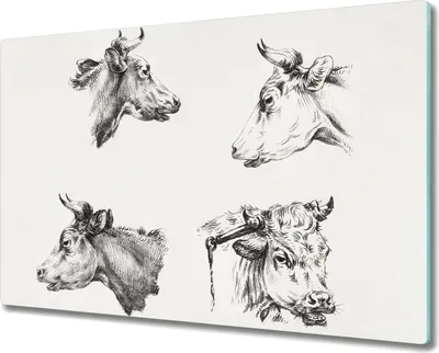 Produktbild von Coloray Schneidebrett Herdabdeckplatte 80x52 cm Kochplattenabdeckung Küchenbrett Hackbrett - Tiere Kuh