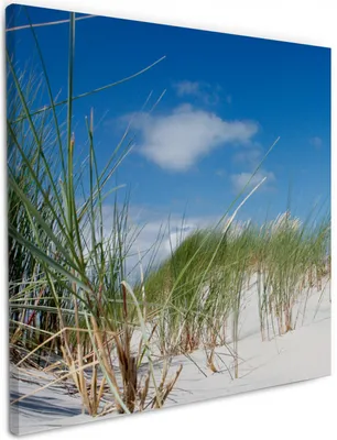 Produktbild von Wallario Premium Leinwandbild Düne am Strand unter blauem Himmel in Größe 50 x 50 cm