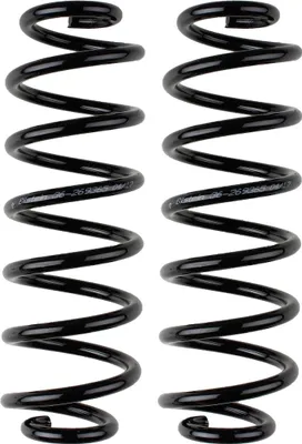Productafbeelding van Bilstein versterkte veren B3, achteras, voor VW Passat 3C2, 3C5 en Tiguan 5N