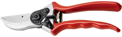 Immagine prodotto di FORBICI DA POTA AUSONIA 21 cm