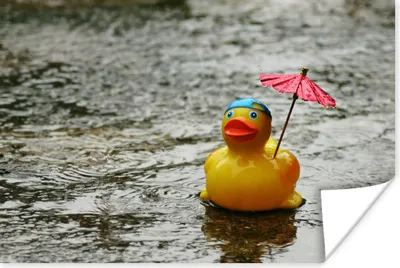 Produktbild von MuchoWow® Poster Gummi-Ente - Regen - Regenschirm 180x120 cm - Fotoplakat