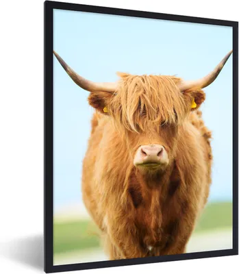 Produktbild von MuchoWow® Gerahmtes Poster Schottischer Highlander - Haare - Gras 60x80 cm - Poster mit Schwarzem Bilderrahmen Wandposter Rahmen Foto Bilder - Premium - Wanddeko Wohnzimmer
