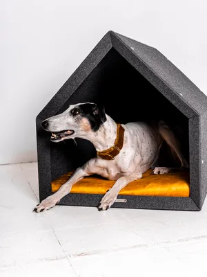 Produktbild von Rexproduct - PetHome 2.0 Hundehütte mit Liegefläche und Dach Biss- und Kratzfest Gute Schalldämmung Umweltfreundlich Größe M Dunkelgrau und gelb