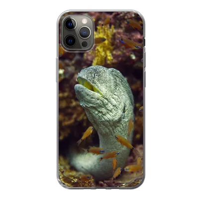 Produktbild von MuchoWow® Handyhülle Schutzhülle Hülle für iPhone 13 Pro Max Fische - Korallen - Ozean Silikon Softcase Handy Hülle - Mobiltelefon