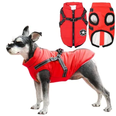 Image de Solidchoice - Manteau pour chien avec harnais, pour petits chiens, imperméable