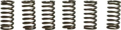 Immagine prodotto di Kit 6 molle frizione EBC CSK190 per Aprilia