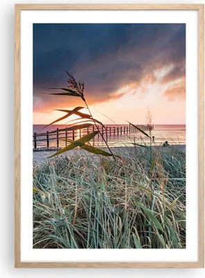 Produktbild von Gerahmtes Poster - Rahmen in heller Eiche - Strand Gras Horizont - 50x70 cm - Wand Bild - Wanddeko - Wandbilder - Kunstposter - Wandposter - Bilderrahmen - Bilder - Kunstdruck - P2NPA50x70-4625