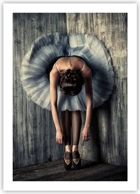 Produktbild von Poster - Poster ohne Rahmen - Ballerina Ballett Tanz - 50x70 cm - Wand Bild - Wanddeko - Wandbilder - Kunstposter - Wandposter - Bilder - Kunstdruck - Wanddekoration - Wandbild - P2XPA50x70-5153