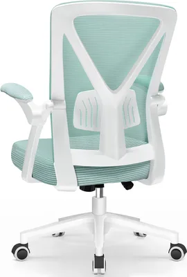 The back view of a white and green ergonomic office chair with a mesh back and adjustable lumbar support.