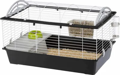 Immagine prodotto di Ferplast Casita 100 Rabit Taupe, Bianco